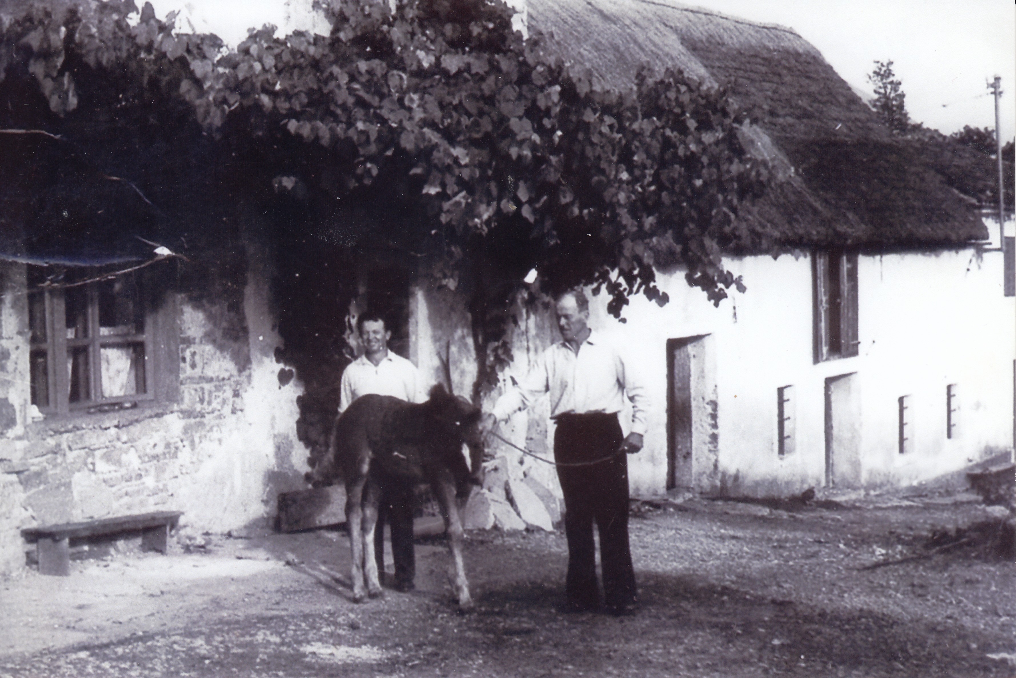 002_Jasen_Cacetova in Sarinova hisa_po 1955
